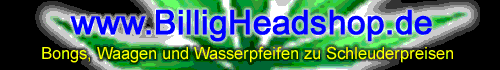Die Grafik "http://www.billigheadshop.de/headshop-banner/logo500x70billigheadshop.gif" kann nicht angezeigt werden, weil sie Fehler enthält.
